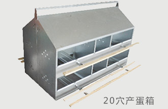 人工产蛋捡蛋箱